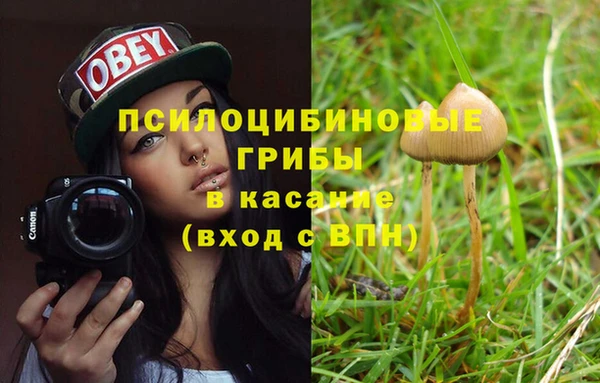 ALPHA-PVP Армянск