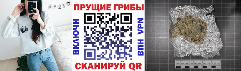 Галлюциногенные грибы MAGIC MUSHROOMS shop Telegram Белозерск закладка